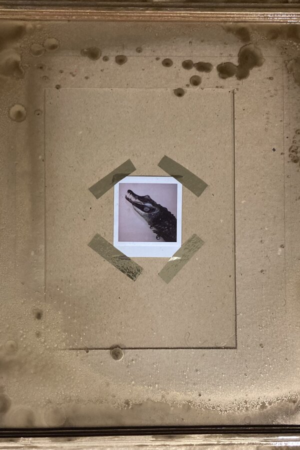 skupina DUMB, Konec zlatého věku, vyvolávací cena 4 000,-